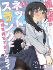 中华英雄重制版